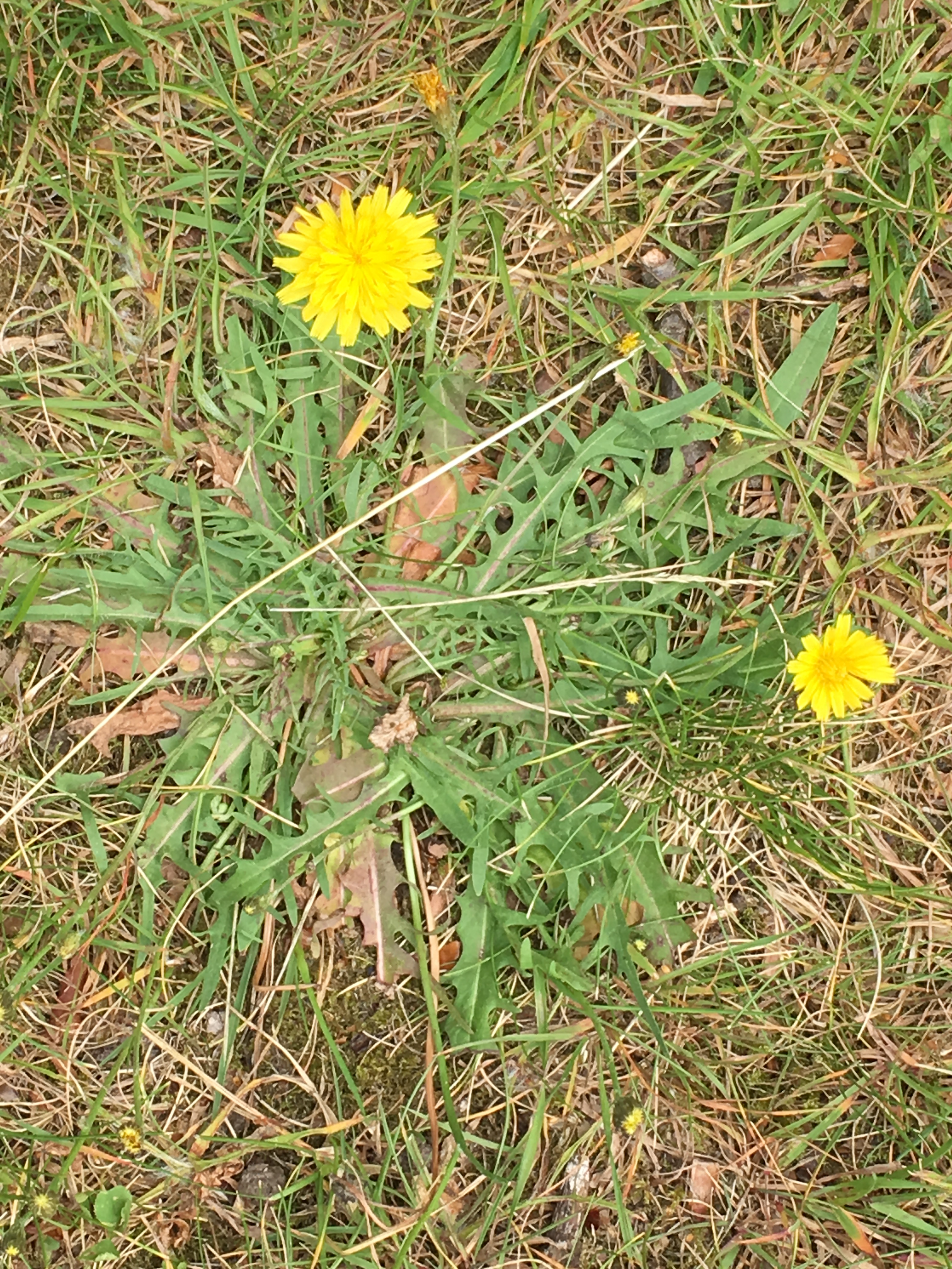 2019-07-19 13.21.06.jpg