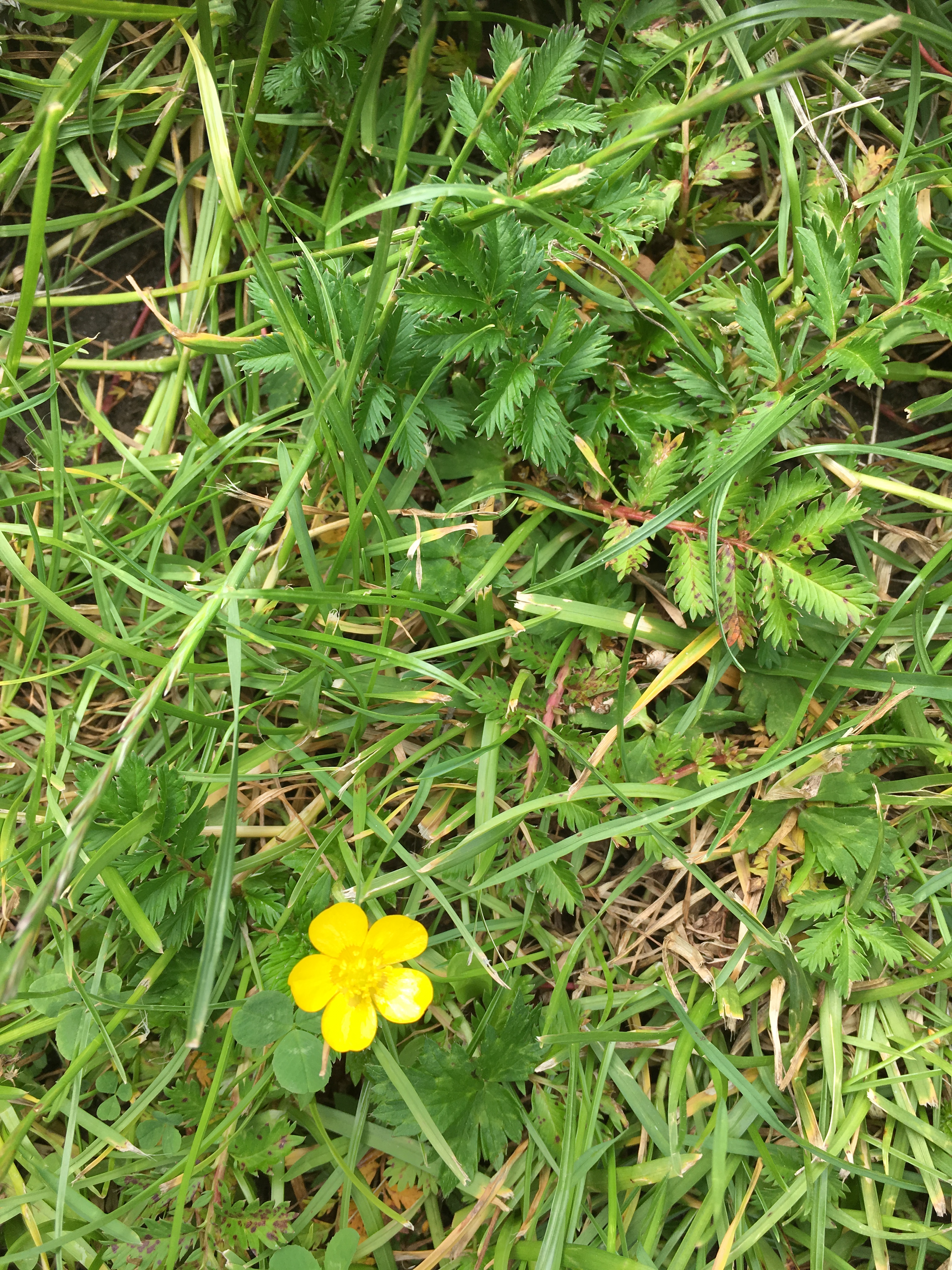 2019-07-19 13.22.29.jpg